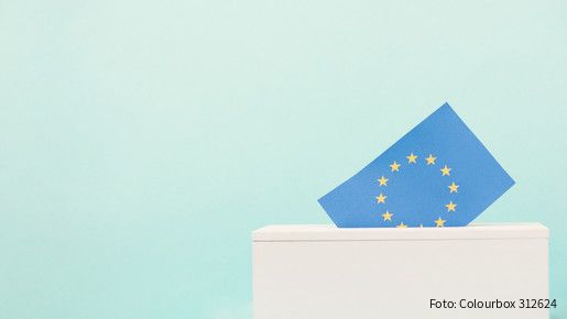 eu, election, ballot box, european, union, voting, parliament, flag, citizens, europe, box, population, stars, blue, yellow, vote, postal, country, politics, electing, euro, people, human rights, ballot, activity, government, immigration, referendum, envelope, protest, riot, law, decision, choice, communication, group, social, migration, border, political, liberty, freedom, diplomacy, rights, member, politic, passport, community, equity